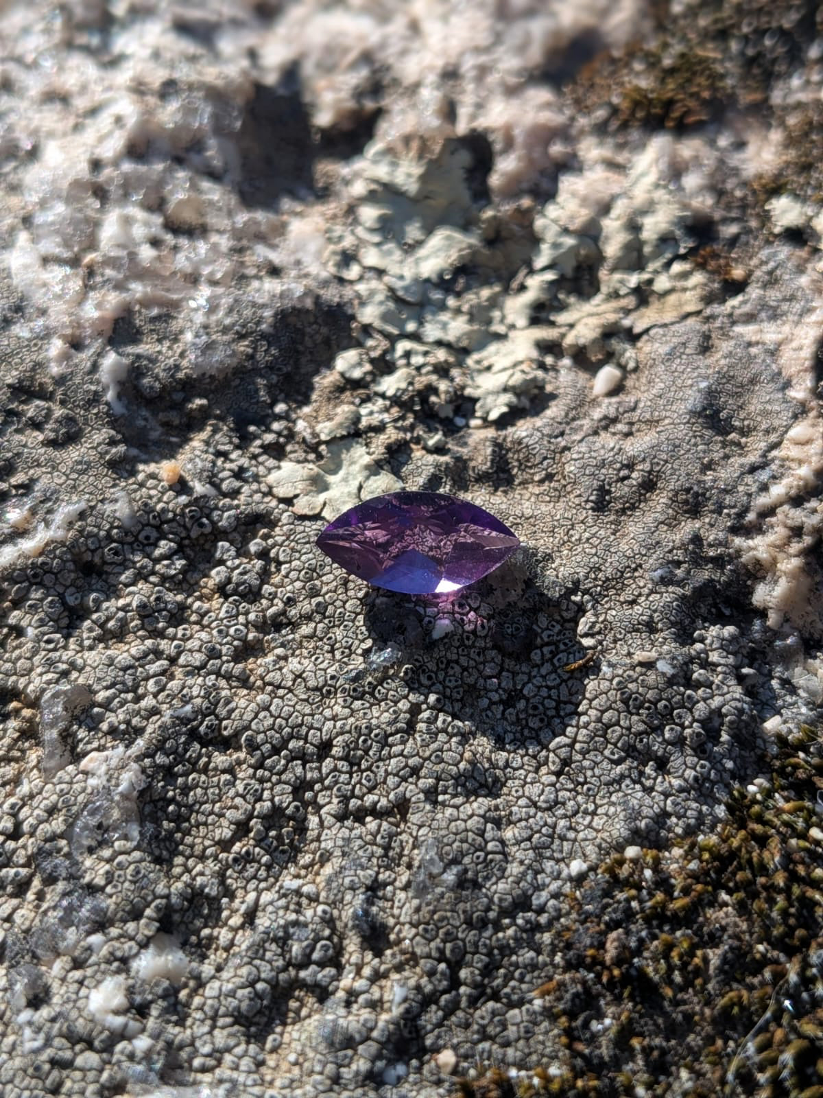 DESPERTAR anillo - Amatista